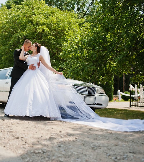 Limo Service My Buffalo Grove wedding